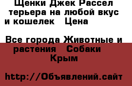 Щенки Джек Рассел терьера на любой вкус и кошелек › Цена ­ 13 000 - Все города Животные и растения » Собаки   . Крым